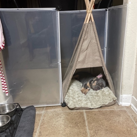 Shipping Label 🏷️ 💕 - Picture 2 of 2